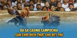 Đá Gà Casino Campuchia Sân Chơi Đích Thực Cho Bet Thủ