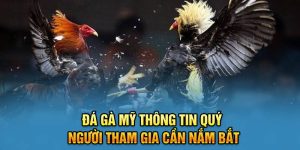 Đá Gà Mỹ Thông Tin Quý Người Tham Gia Cần Nắm Bắt