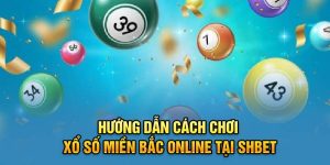 Hướng dẫn cách chơi xổ số miền Bắc online tại Shbet