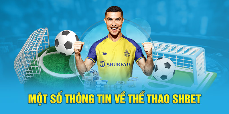 Tổng quan về sảnh thể thao Shbet