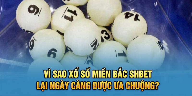 Vì sao xổ số miền Bắc Shbet lại ngày càng được ưa chuộng? 